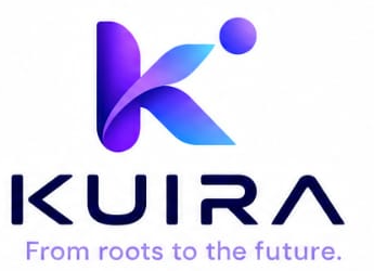 Kuira